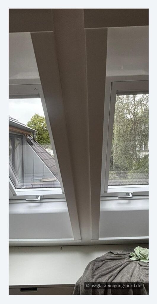 Fensterreinigung in Hamburg