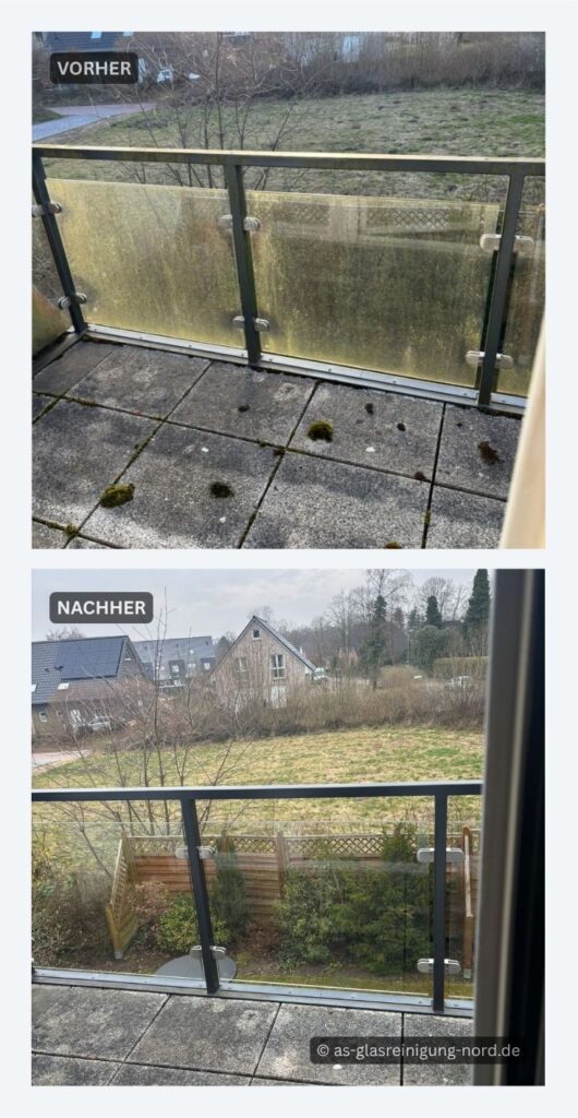 Glasgeländerreinigung in Trittau