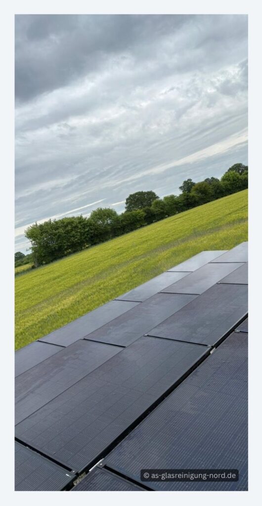 Solarpaneelreinigung in Oststeinbek
