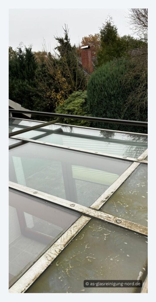 Wintergartenreinigung in Bargteheide